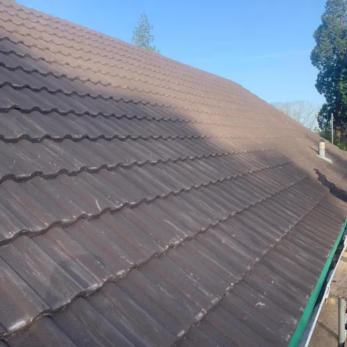 Recent roof project